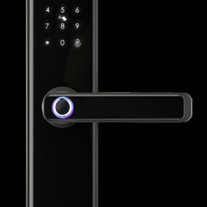 Fingerprint Door LockE908F-BN
